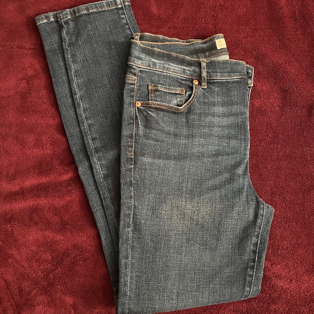 Loft modern skinny blue jeans size 29/8